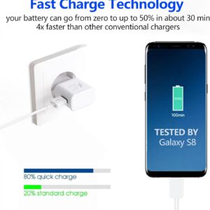 Caricabatteria Veloce per Telefono Samsung, Adattatore Caricatore Rapido Spina USB con Cavo di Ricarica USB tipo C Compatibile con Galaxy A13, S10, S9, S8 Plus, S10e, A51, A53, A54 5G, A33, A40, A30