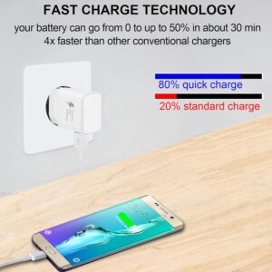 Caricabatterie per Samsung Caricabatterie Rapido Adattatore di Alimentazione USB con Cavo Micro USB 1,5 M per Samsung Galaxy S7 S7 Edge S6 S5 S4 S3 S2 Note 5/4 Xcover 4 3 2 J3 J4+ A5 A7 (Bianco)
