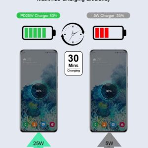 25W Caricatore USB C Rapido per Caricabatterie Samsung, Alimentatore USB C Spina Presa Tipo C Spinotto con 2M Cavo Caricatore per Samsung Galaxy S25 Ultra/S24/S23/S22/S21/S10/S9/A54 5G/A15