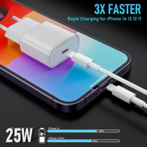 25W Caricatore for iPhone 14/14 Pro/14 Pro Max/13/13 Pro/13 Pro Max/12/12Pro/12 ProMax/11/11Pro/11 ProMax, Caricabatterie Rapido iPhone with 2M Cavo USB C- Lightning Spina Adattatore Alimentatore