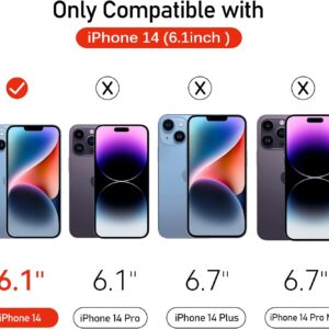 iVoler 6 in 1 Pezzi Pellicola Vetro Temperato per iPhone 14 6.1 Pollici, 3 Pezzi Pellicola Protettiva e 3 Pezzi Pellicola Fotocamera, Con Strumenti di Installazione, Durezza 9H, HD, Anti Graffio